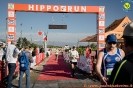 Hipporun2022-137