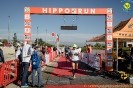 Hipporun2022-205