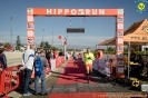 Hipporun2022-208