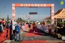 Hipporun2022-233