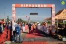 Hipporun2022-234