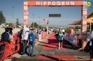 Hipporun2022-249