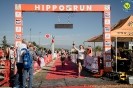 Hipporun2022-299