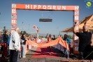 Hipporun2022-333