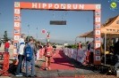 Hipporun2022-347