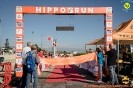 Hipporun2022-352