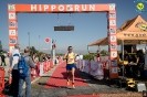 Hipporun2022-365