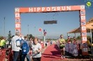 Hipporun2022-390