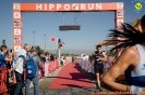 Hipporun2022-397