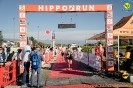 Hipporun2022-84