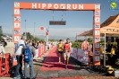 Hipporun2022-98