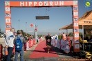 Hipporun 2022-11