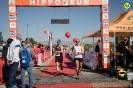 Hipporun 2022-128