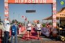 Hipporun 2022-13