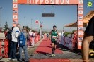 Hipporun 2022-141