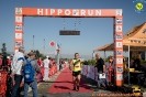 Hipporun 2022-151