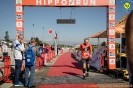 Hipporun 2022-213