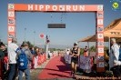 Hipporun 2022-22