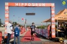 Hipporun 2022-268