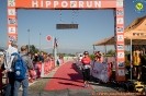 Hipporun 2022-37