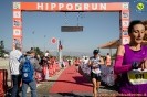 Hipporun 2022-42