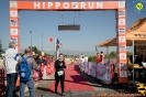 Hipporun 2022-45