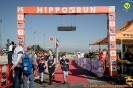 Hipporun 2022-78