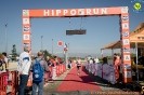 Hipporun 2022-81