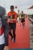 Hipporun by Ippodromo di Vinovo-339
