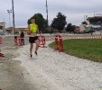 Hipporun by Luca Taronna-107