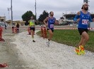 Hipporun by Luca Taronna-120