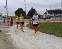 Hipporun by Luca Taronna-153