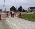 Hipporun by Luca Taronna-241