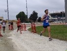 Hipporun by Luca Taronna-246