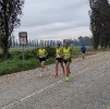 Hipporun by Luca Taronna-24