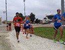 Hipporun by Luca Taronna-256