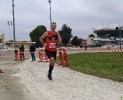 Hipporun by Luca Taronna-281
