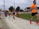 Hipporun by Luca Taronna-289