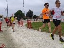 Hipporun by Luca Taronna-318