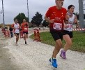 Hipporun by Luca Taronna-336
