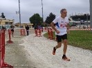 Hipporun by Luca Taronna-350