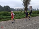 Hipporun by Luca Taronna-38