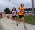 Hipporun by Luca Taronna-395