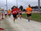 Hipporun by Luca Taronna-407