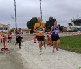 Hipporun by Luca Taronna-425