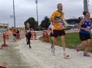 Hipporun by Luca Taronna-426
