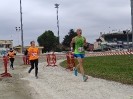 Hipporun by Luca Taronna-428