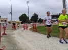 Hipporun by Luca Taronna-445