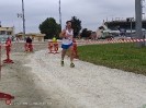 Hipporun by Luca Taronna-446