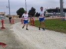 Hipporun by Luca Taronna-470